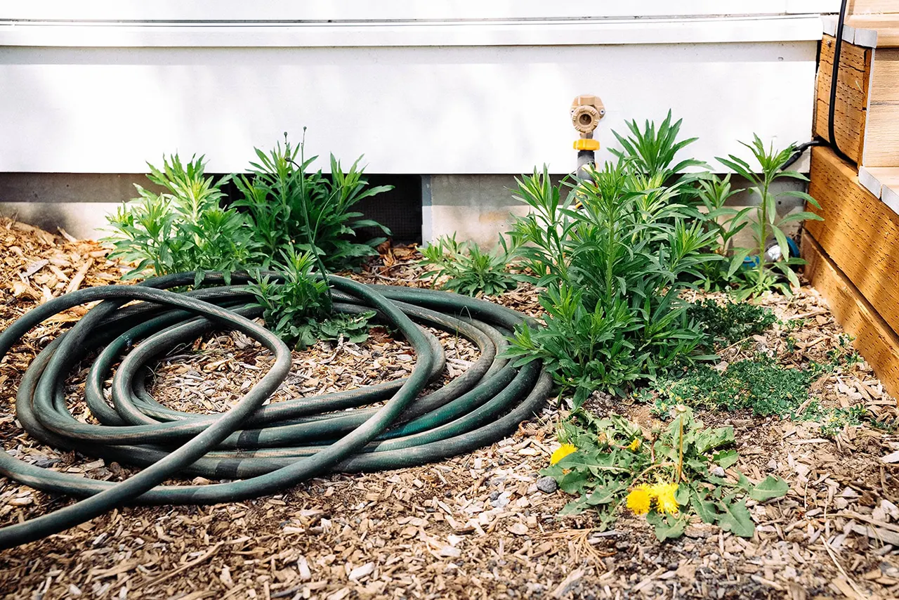 garden hose in front of house